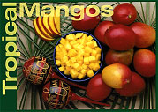 Mango PoP Materials >>